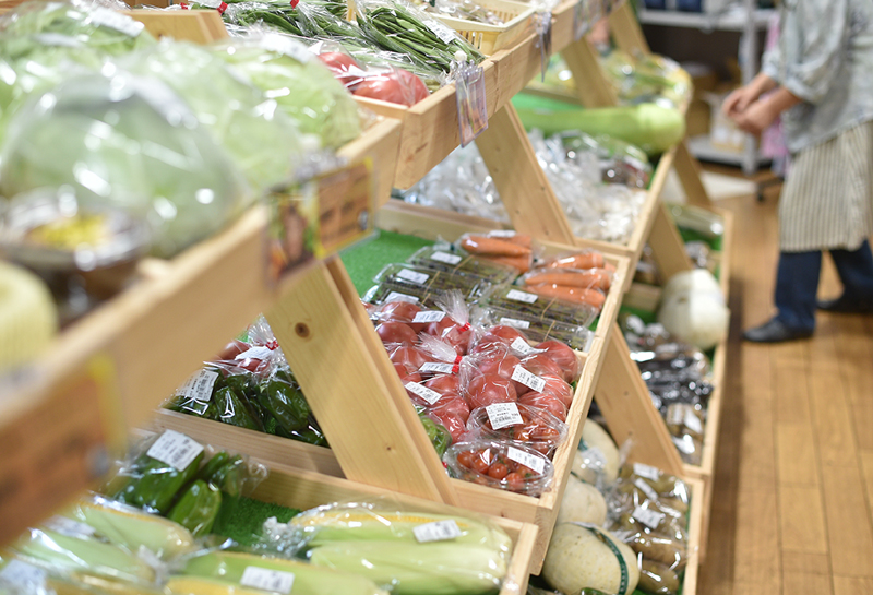 四季彩館イメージ画像１